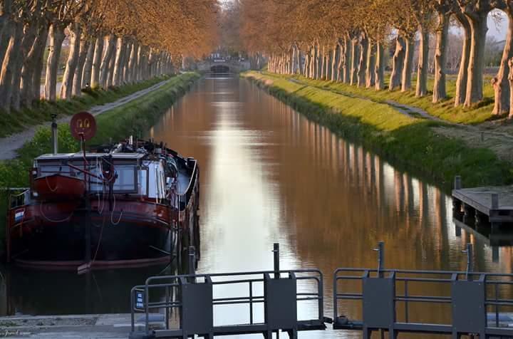 Au Paradis Cathare Fraissé-des-Corbières Esterno foto