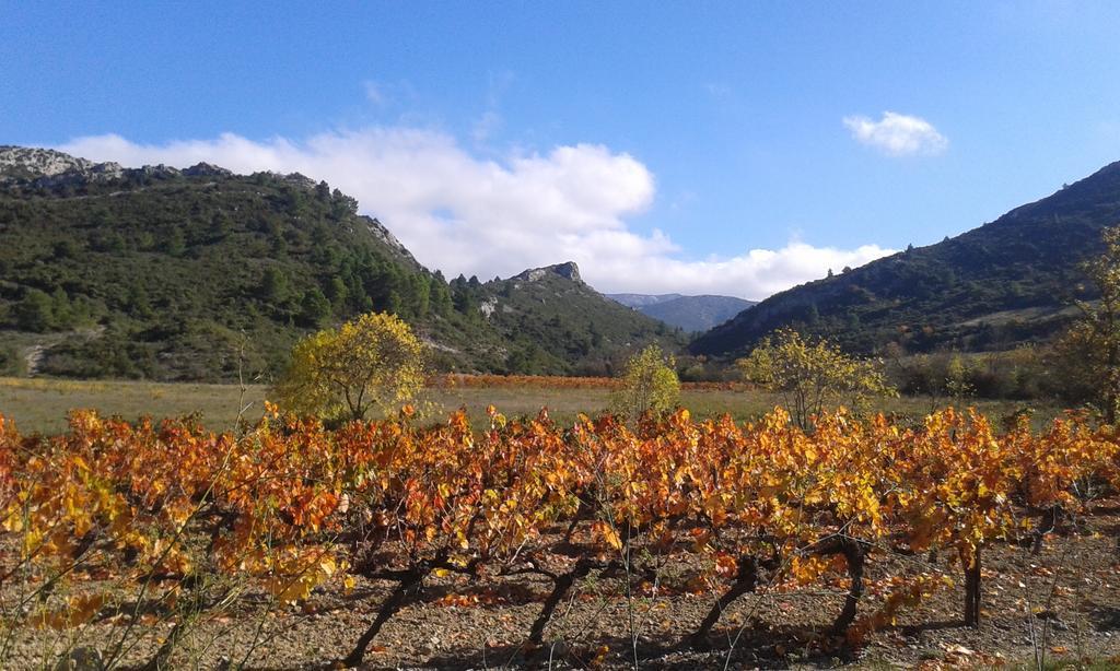 Au Paradis Cathare Fraissé-des-Corbières Esterno foto